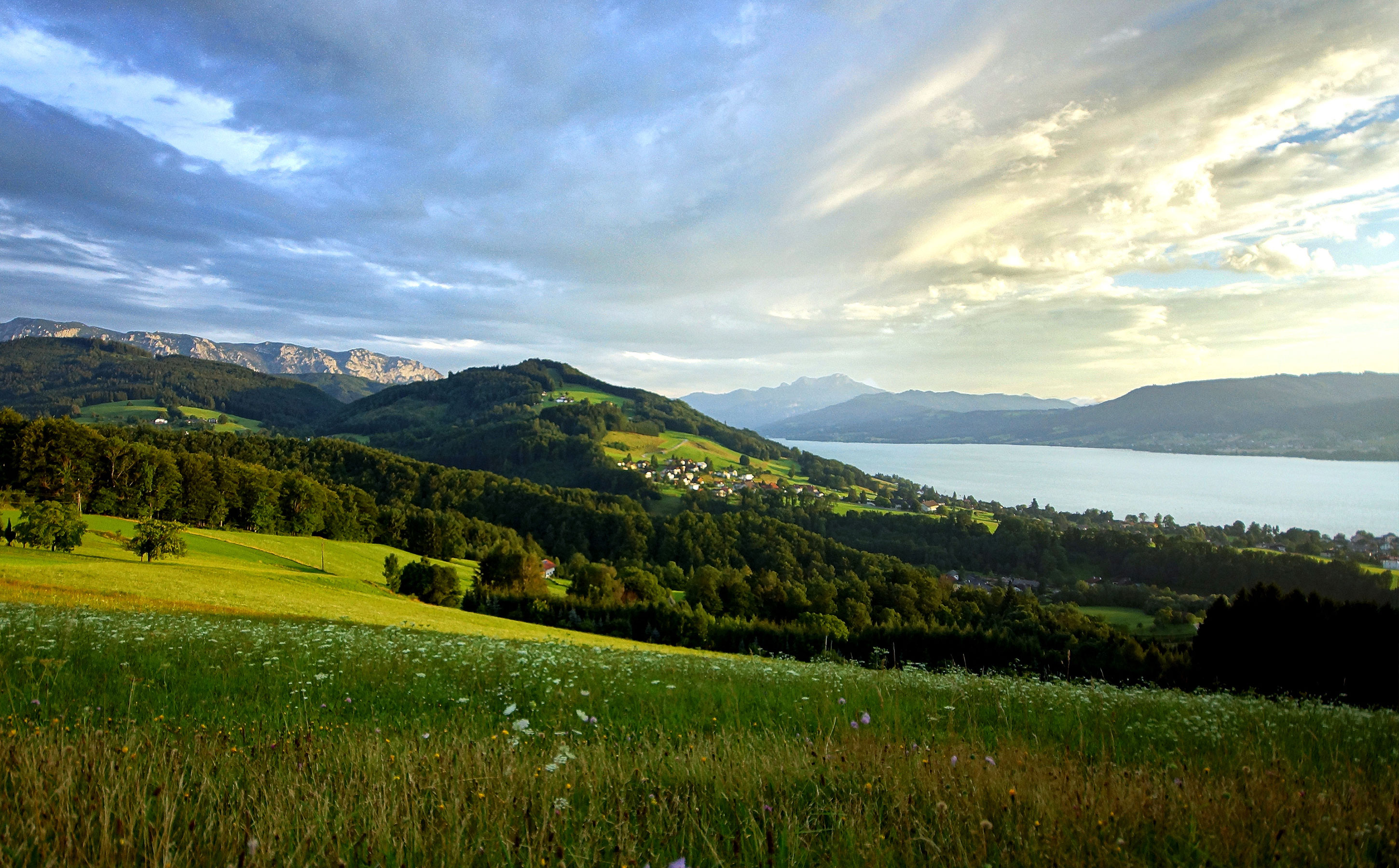 ... die Seele baumeln lassen