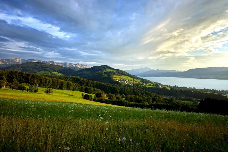 Urlaub am Attersee